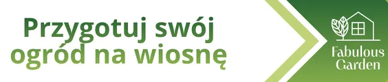 Sprawdź cenowe okazje